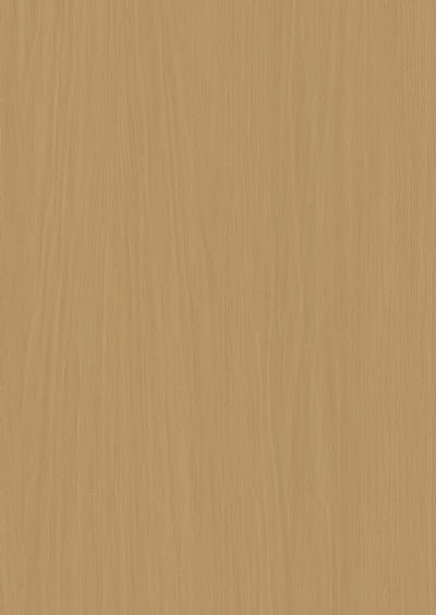 Board-EZ-W29